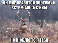 ОН МНЕ НРАВИТСЯ,ПОЭТОМУ И ВСТРЕЧАЮСЬ С НИМ НО ЛЮБЛЮ ТО Я ТЕБЯ