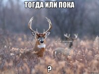 Тогда или пока ?