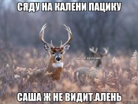 СЯДУ НА КАЛЕНИ ПАЦИКУ САША Ж НЕ ВИДИТ.АЛЕНЬ