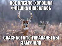 Все влезло: хорошая флешка оказалась Спасибо! А то тараканы бы замучали