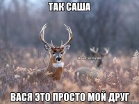 Так Саша Вася это просто мой друг