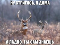 Ну стригись, я дома А ладно, ты сам знаешь