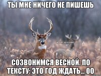 Ты мне ничего не пишешь Созвонимся весной. По тексту: это год ждать... 0о