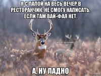 Я с папой на весь вечер в ресторанчик. Не смогу написать, если там вай-фая нет. А, ну ладно