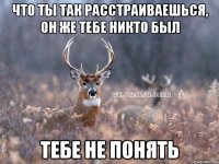 Что ты так расстраиваешься, он же тебе никто был Тебе не понять