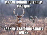 Милая, пошли погуляем сегодня. Извини, я сегодня занята очень