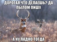 Дорогая,что делаешь? Да пылом пишу А ну ладно тогда