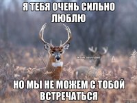 я тебя очень сильно люблю но мы не можем с тобой встречаться