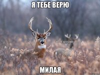 Я тебе верю Милая