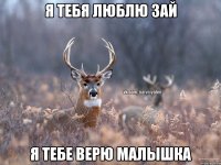 Я тебя люблю зай я тебе верю малышка