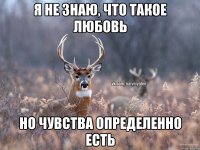 Я не знаю, что такое любовь Но чувства определенно есть