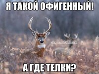 Я такой офигенный! А где телки?