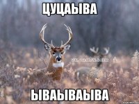 цуцаыва ываываыва