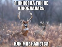 Я никогда так не влюблалась Или мне кажется