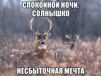 Спокойной ночи, солнышко Несбыточная мечта