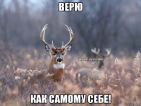 Верю Как самому себе!