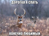 Дорогая я спать Конечно любимый