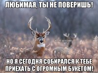 ЛЮБИМАЯ, ТЫ НЕ ПОВЕРИШЬ! НО Я СЕГОДНЯ СОБИРАЛСЯ К ТЕБЕ ПРИЕХАТЬ С ОГРОМНЫМ БУКЕТОМ!