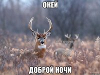 Окей Доброй ночи