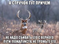 А Стручок тут причем Не надо сбивать его с верного пути. Пожалуйста, не трожьте его