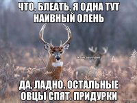 Что, блеать, я одна тут наивный олень Да, ладно. Остальные овцы спят. Придурки