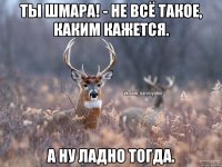 Ты шмара! - Не всё такое, каким кажется. А ну ладно тогда.