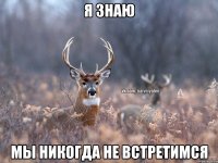 Я знаю Мы никогда не встретимся