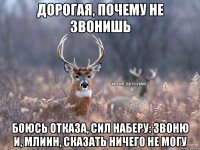 Дорогая, почему не звонишь Боюсь отказа, сил наберу: звоню и, млиин, сказать ничего не могу