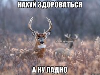 нахуй здороваться а ну ладно