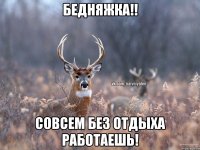 Бедняжка!! Совсем без отдыха работаешь!