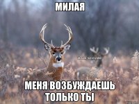 Милая Меня возбуждаешь только ты