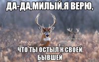 да-да,милый,я верю, что ты остыл к своей бывшей