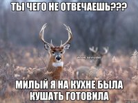 Ты чего не отвечаешь??? Милый я на кухне была кушать готовила