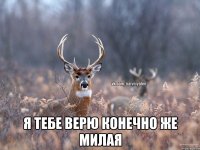  Я тебе верю конечно же милая