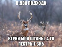 В два подхода Верни мои штаны, а то пестрые зкб