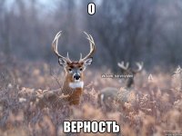 О Верность