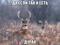 Да если так и есть Дурак