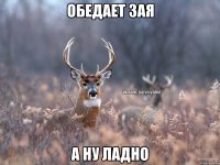 Обедает зая А ну ладно