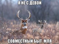 Я не с девой Совместный быт. Мля