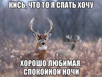 Кись, что то я спать хочу Хорошо любимая, спокойной ночи