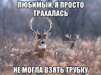 любимый, я просто трахалась не могла взять трубку