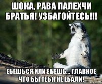 Шока, Рава палехчи братья! УЗБАГОЙТЕСЬ!!! Ебешься или ебешь... Главное что бы тебя не Ебали!