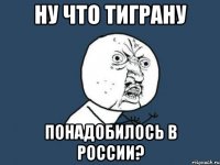 Ну что Тиграну Понадобилось в России?