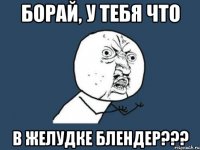 Борай, у тебя что в желудке блендер???