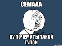 Сёмааа НУ ПОЧЕМУ ТЫ ТАКОЙ ТУПОЙ