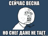 сейчас весна но снег даже не тает