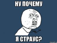 Ну почему Я страус?