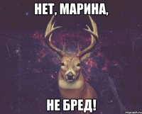 Нет, Марина, Не БРЕД!