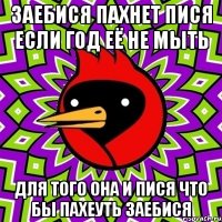 заебися пахнет пися если год её не мыть для того она и пися что бы пахеуть заебися