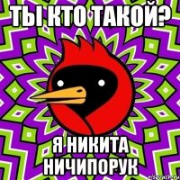 Ты кто такой? Я Никита НИчипорук